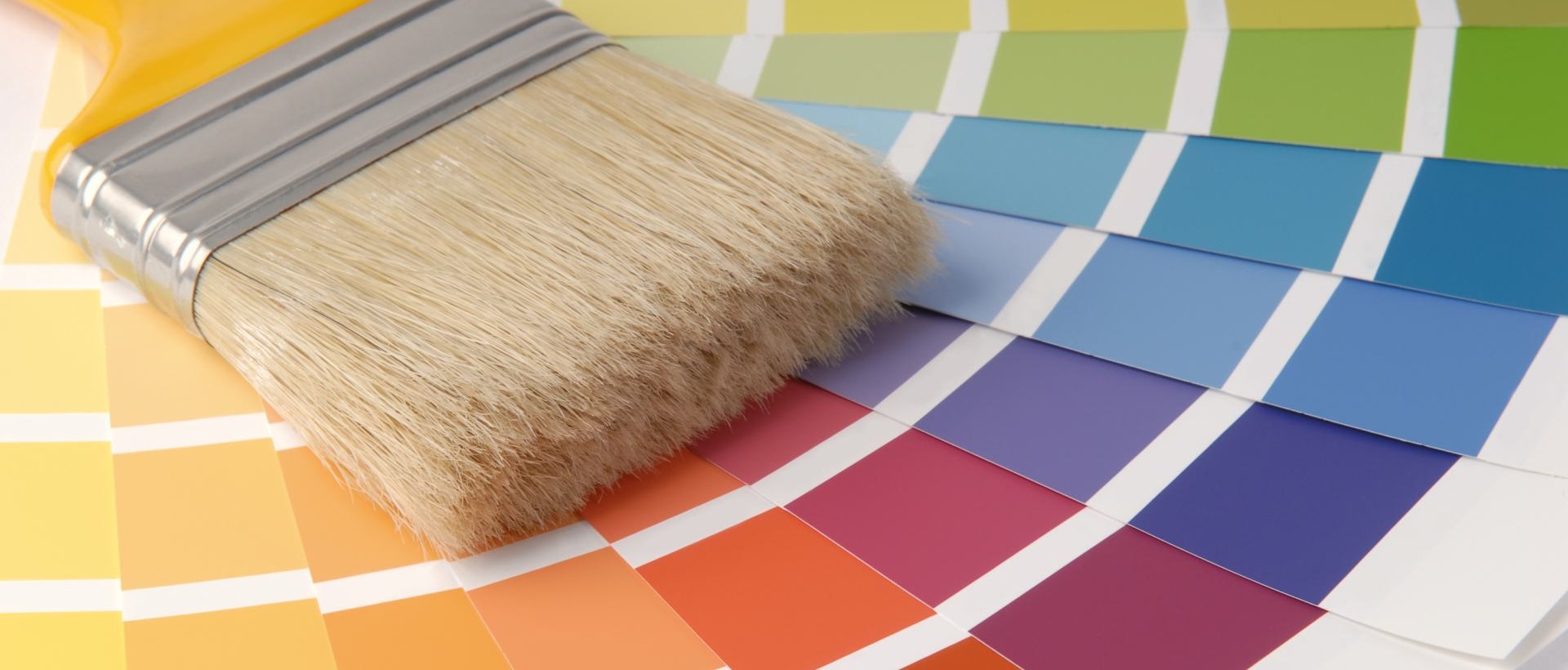 Painter E6